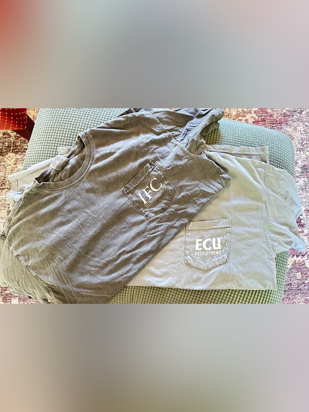 Two Comfort Colors East Carolina University Tee Shirts
